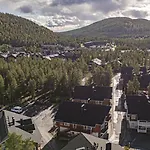 Sisu