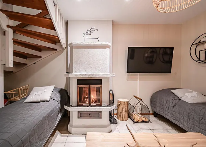 Διαμέρισμα Sisu *