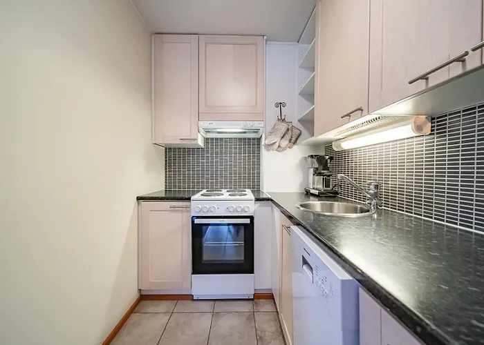 Διαμέρισμα Sisu Levi